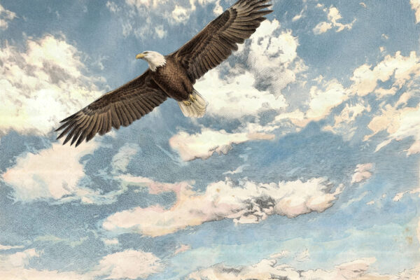 A - Adler Lithograph small